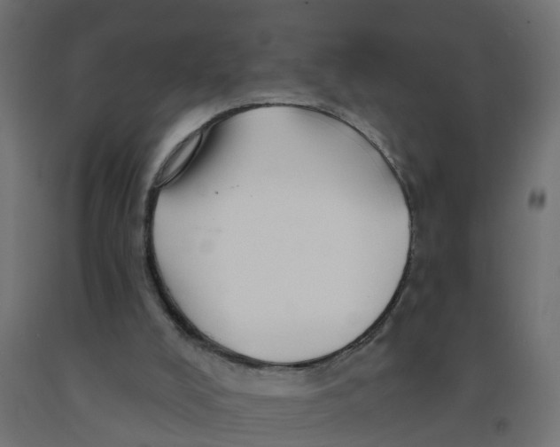 X0000090890008200708242011