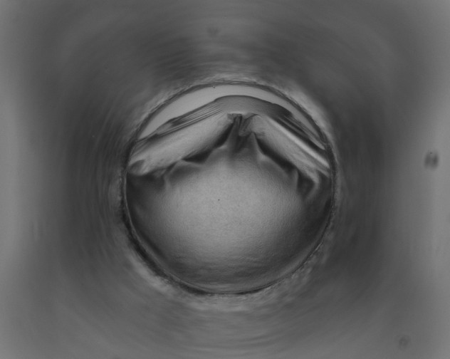 X0000090890009200708242011