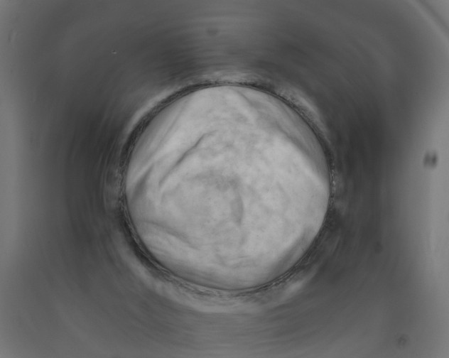 X0000090890012200708242011