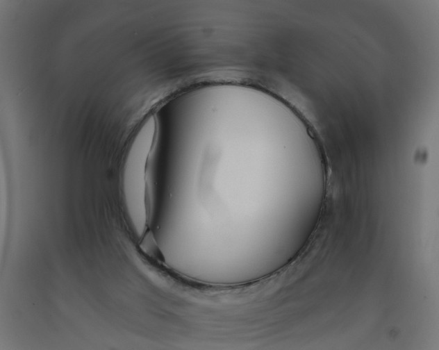 X0000090890013200708242011