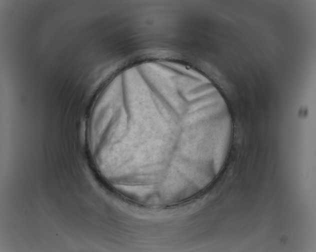 X0000090890014200708242011