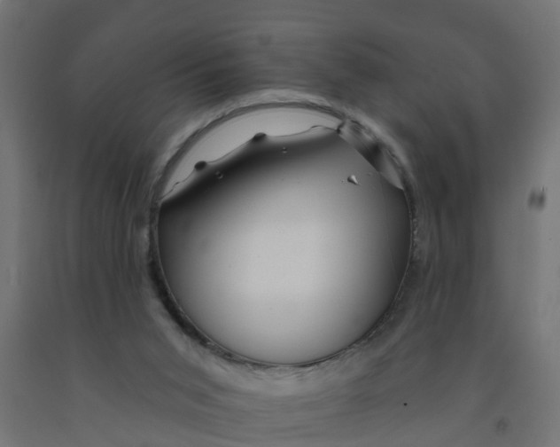 X0000090890015200708242011