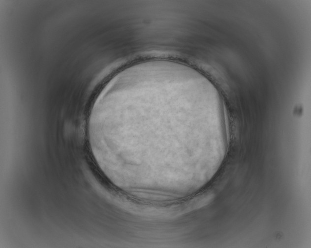 X0000090890016200708242011