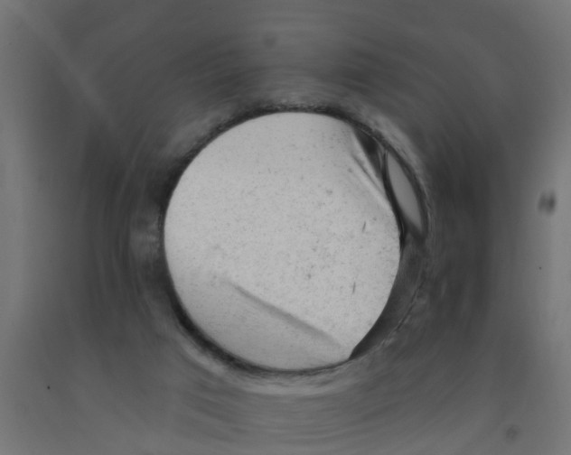 X0000090890017200708242011