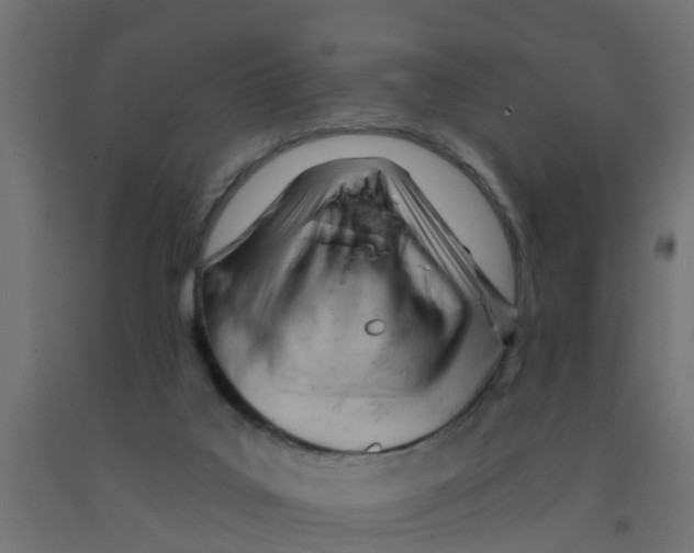 X0000090890019200708242011