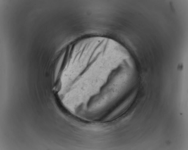 X0000090890020200708242011