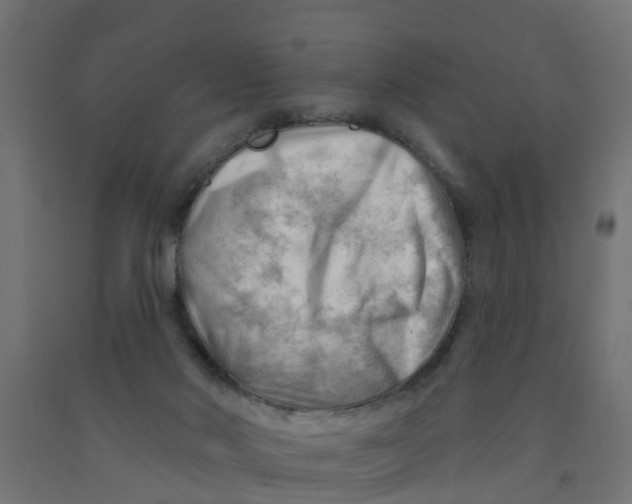 X0000090890022200708242011