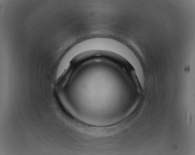 X0000090890023200708242011