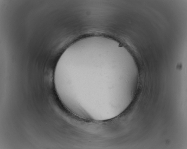 X0000090890024200708242011