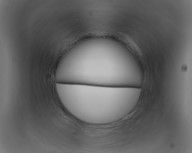 X0000090890025200708242011