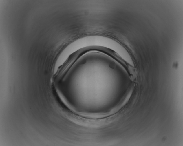 X0000090890027200708242011