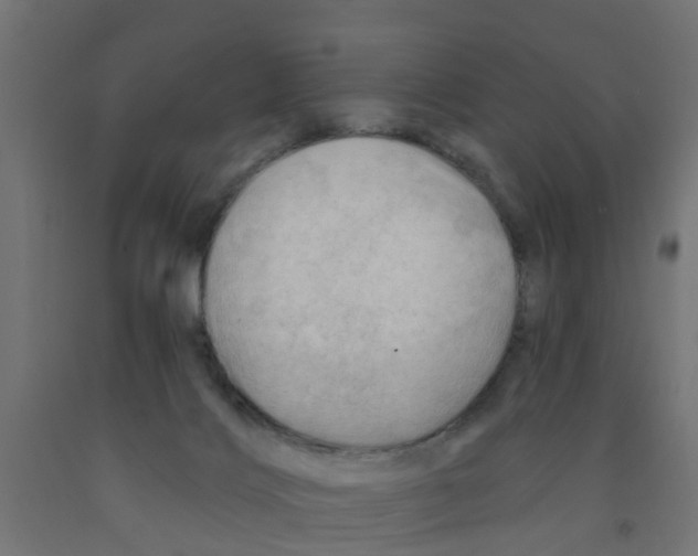 X0000090890028200708242011