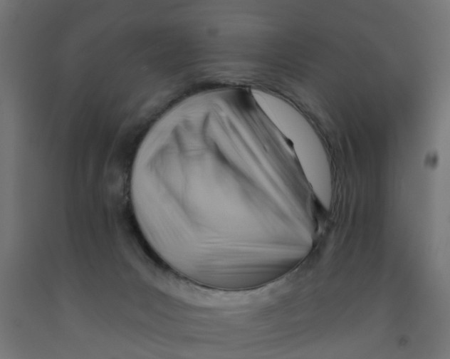 X0000090890031200708242011