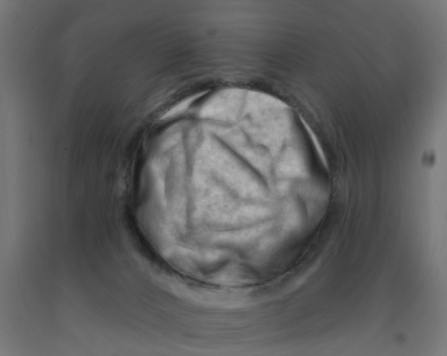 X0000090890032200708242011