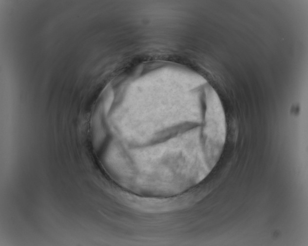 X0000090890034200708242011