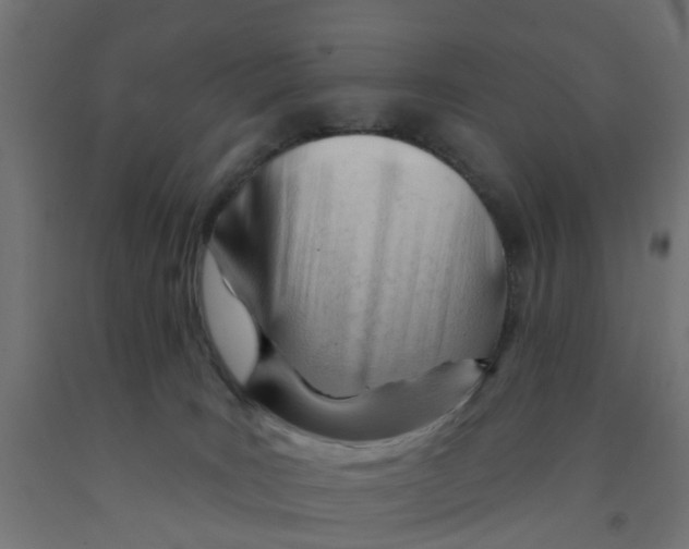 X0000090890035200708242011