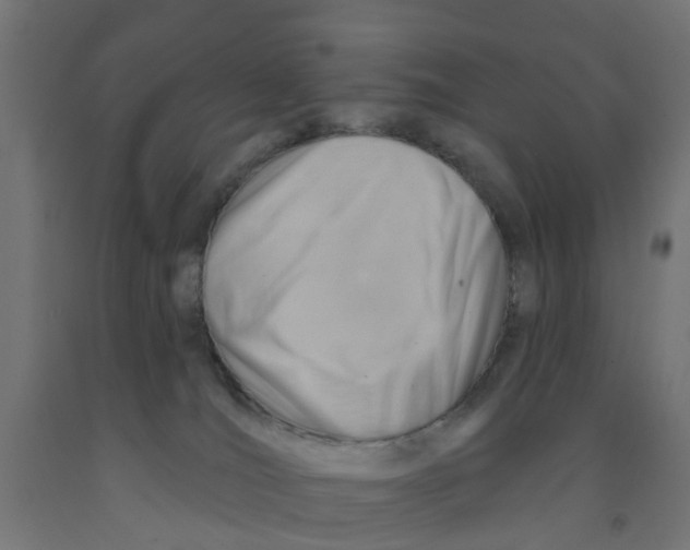 X0000090890036200708242011