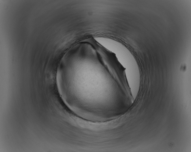 X0000090890039200708242011