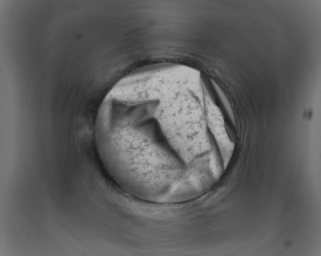 X0000090890040200708242011