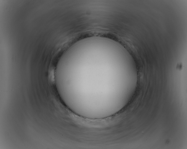 X0000090890042200708242011