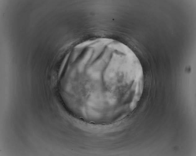 X0000090890043200708242011