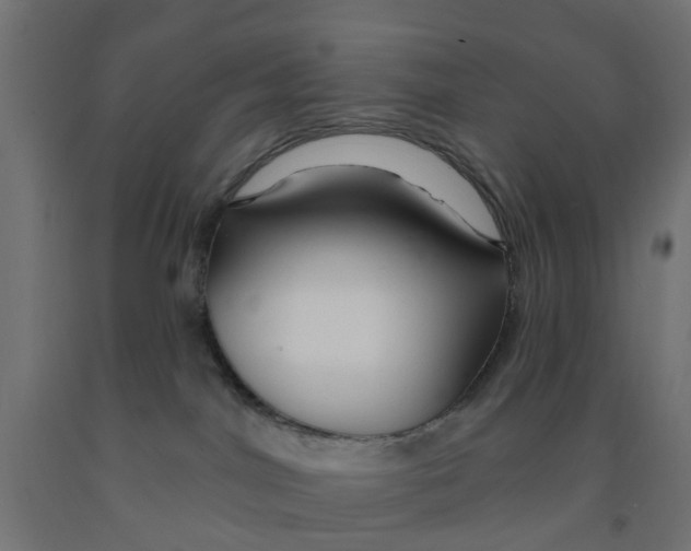 X0000090890044200708242011