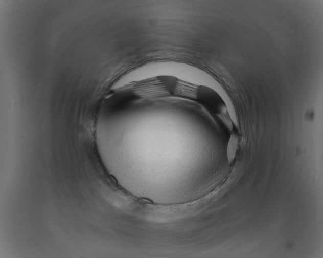 X0000090890045200708242011