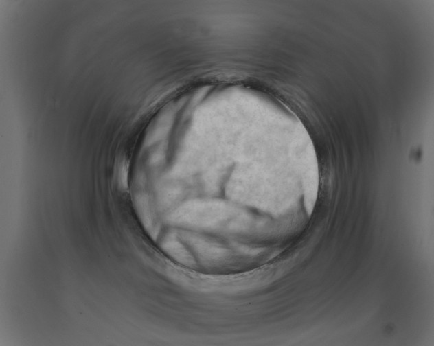 X0000090890046200708242011