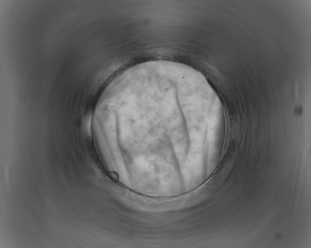 X0000090890047200708242011