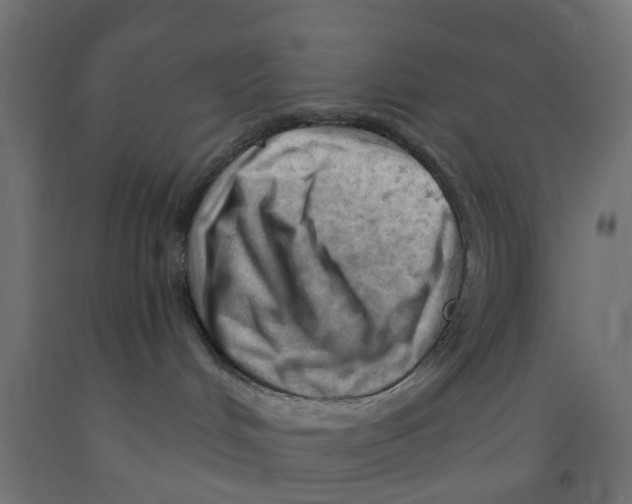 X0000090890048200708242011