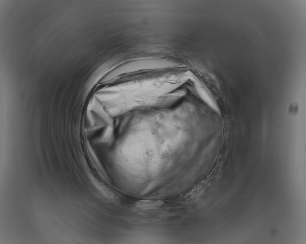 X0000090890051200708242010