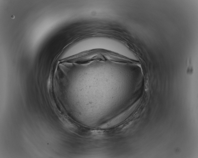 X0000090890052200708242010