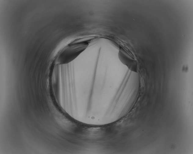 X0000090890054200708242010