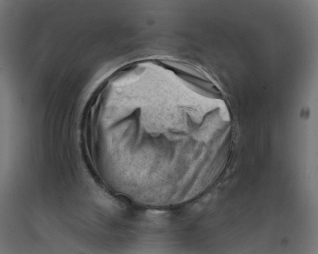 X0000090890055200708242010