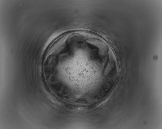 X0000090890056200708242010