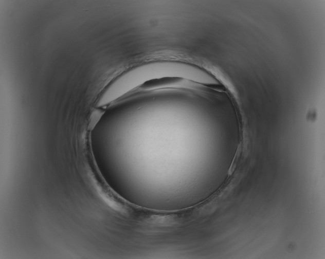 X0000090890057200708242010