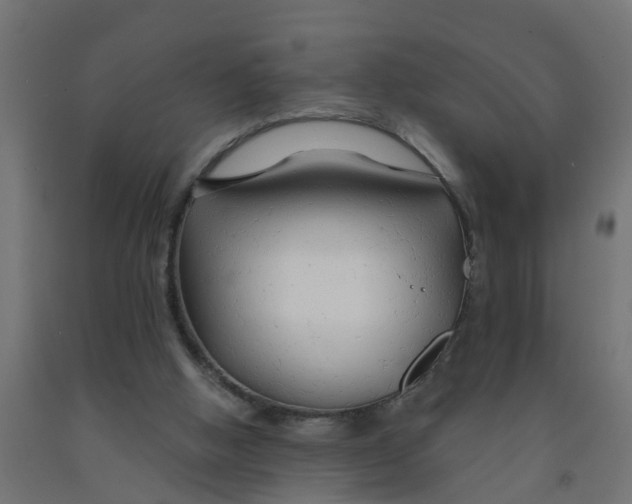 X0000090890058200708242010