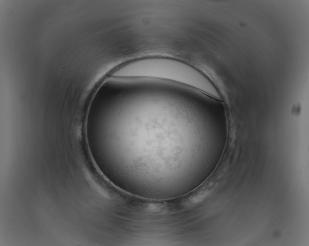 X0000090890060200708242010