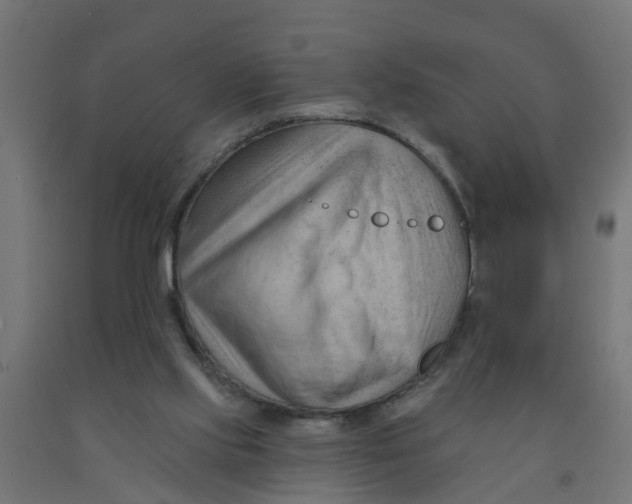 X0000090890061200708242010