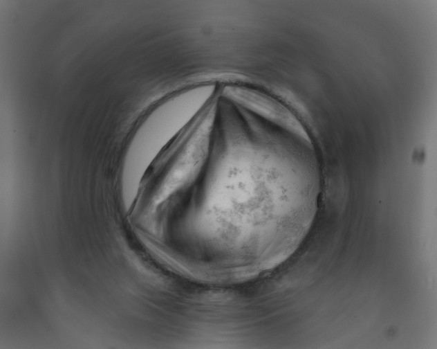 X0000090890063200708242010