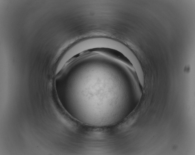 X0000090890064200708242010