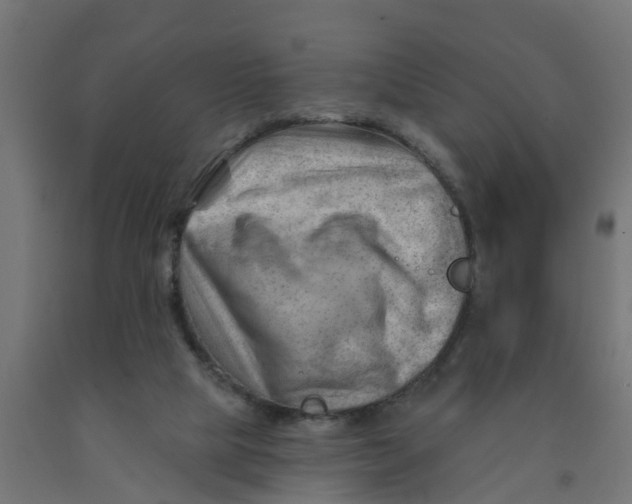 X0000090890065200708242010