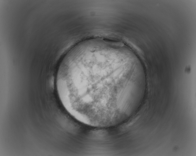 X0000090890067200708242010