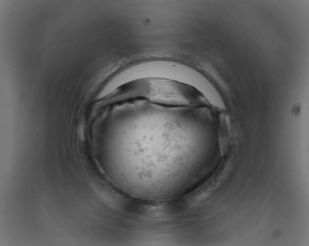 X0000090890068200708242010