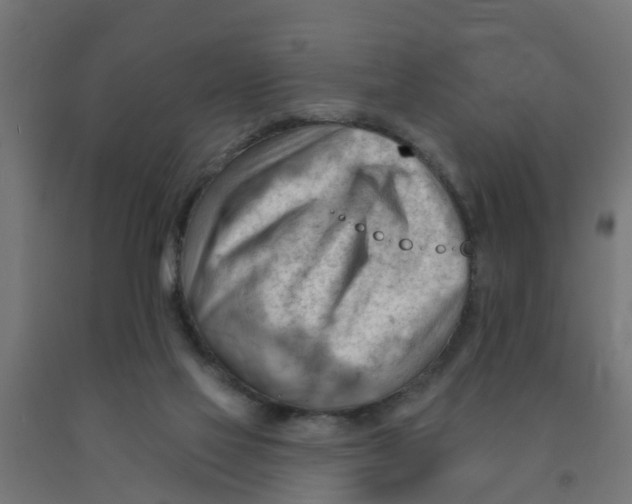 X0000090890069200708242010