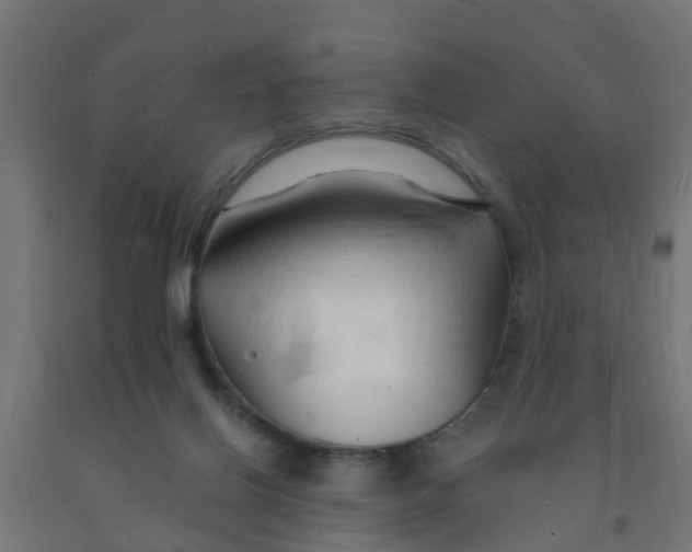 X0000090890070200708242010