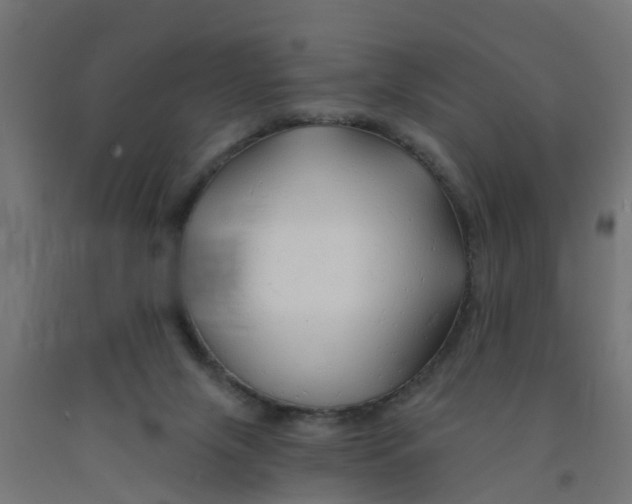 X0000090890071200708242010