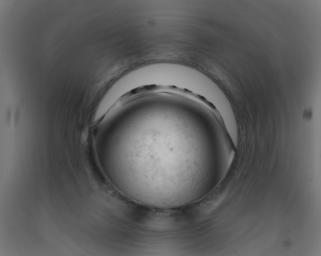 X0000090890072200708242010