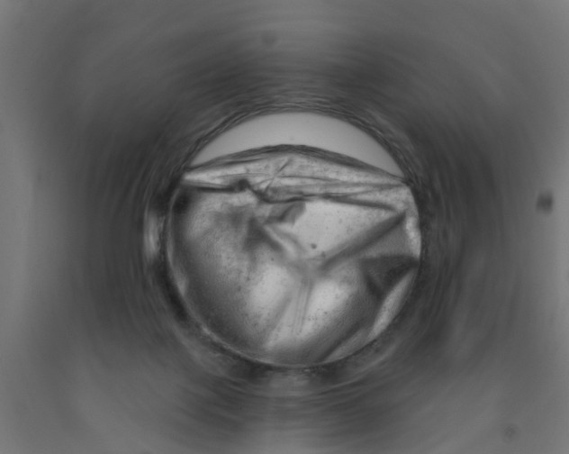 X0000090890075200708242010