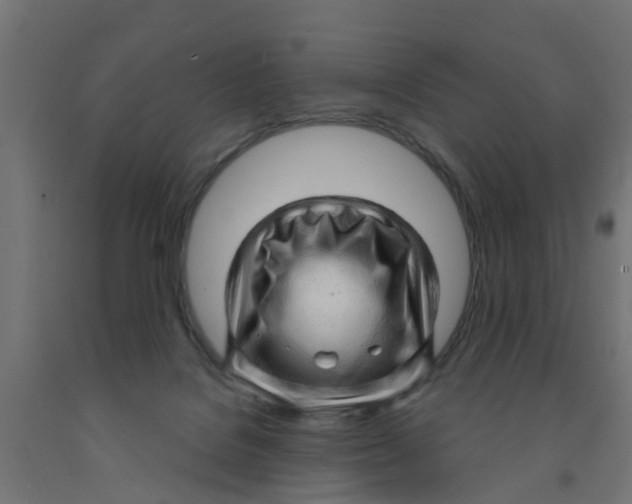 X0000090890076200708242010